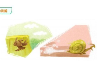 蜗牛的奇幻之旅（以慢为快，以微弱为强）