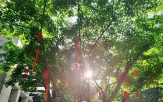 梦想的喝彩（那个坚持自己梦想的少年）
