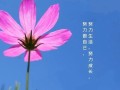 一步步追逐梦想（一个年轻人的故事）