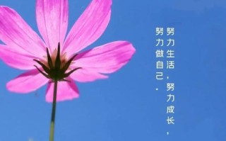 一步步追逐梦想（一个年轻人的故事）