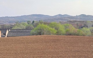 香气（芬芳中的爱情）