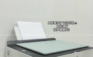 夏日乐趣：寻找夏天的美好