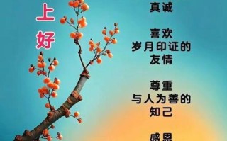 友谊天长地久：两个好朋友的故事