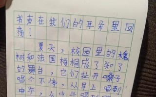 校园的奇妙冒险：发现学校里的秘密