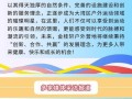 璀璨明珠——一场奇妙的旅程