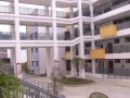 我的新校园