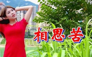 流淌的泪水（因思念而流淌的泪水）