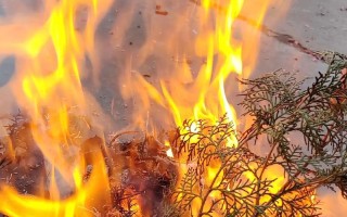 那个春节，我们一起回家（记录一个人的回家故事）