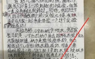 小实验的奇妙之旅（三年级小朋友的探索与发现）