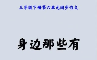 身边的独特人物（那些与众不同的存在）