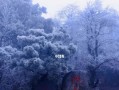 这个冬天真美（一场意外的相遇）