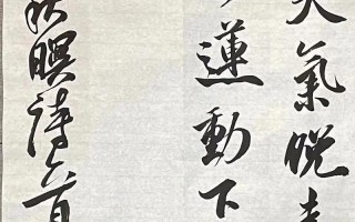 坚持到底（一个不服输的人的故事）