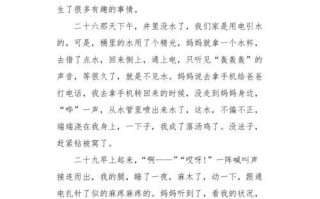 一场搞笑的假期经历（一场搞笑的假期经历）