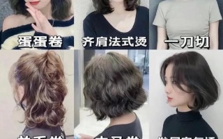 肆意飞翔的时光（肆意飞翔的时光）