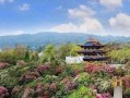 最庸常最壮丽（奇迹之旅）