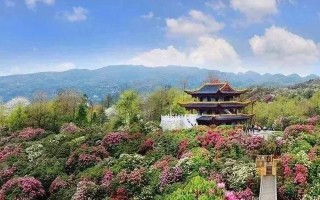 最庸常最壮丽（奇迹之旅）