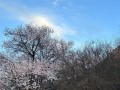 坚持到底，不放弃（一个人的奋斗之路）