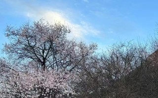 坚持到底，不放弃（一个人的奋斗之路）