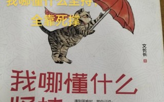 追梦者的故事（用勇气去寻找自我）