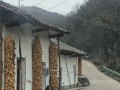 怀乡之情