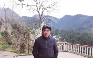 顶梁柱——家族的象征（小城里的古老房子）
