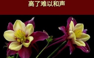 一次关于未来的人生抉择（十年后，我是否做出了正确的选择？）