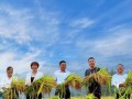 跨过那道坎（勇敢面对，不断向前）