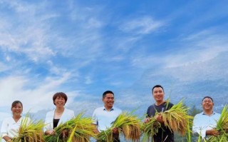 跨过那道坎（勇敢面对，不断向前）