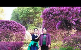 母亲的爱让我自豪（从一件小事看母亲的伟大）