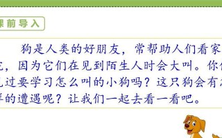 我和小狗的成长之旅（一个人和一只狗的友谊如何渐入佳境？）