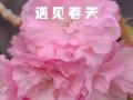 美好的陪伴（给我温暖的力量）