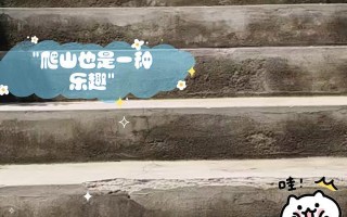 爬山乐趣无穷（探索大自然，感受生命之美）