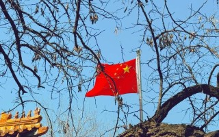 小心灵的成长