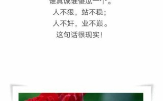 我的榜样（他让我明白什么是真正的成长）