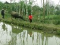 趣事无处不在——乡下里的故事（走进乡下，感受那里的人情味）