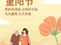 慈爱老奶奶的故事（一个人人爱的老奶奶的感人故事）