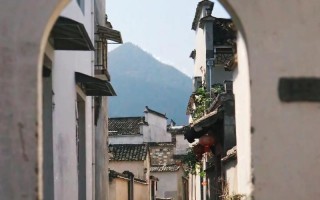 不要错过的宝藏（一个关于探险和成长的故事）