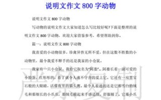 魔法的力量（一个普通人如何成为魔法师）