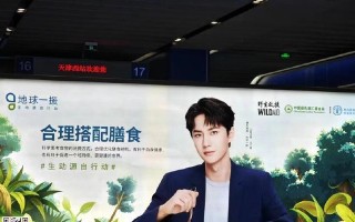 一位音乐家的感情经历（一位音乐家的感情经历）