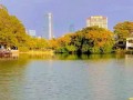 《梅花香》——感受内心深处的美