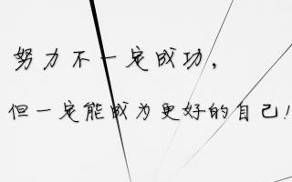 成功只能来自于努力（一个人物的奋斗故事）