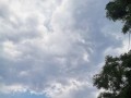 一场轮回，一份爱与感动（一场轮回，一份爱与感动）