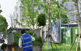 城市美容师的故事（发掘城市之美，让城市更加美丽）