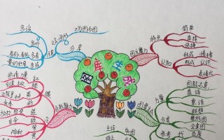 一只蚂蚁的成长之路（坚持是成功的关键）