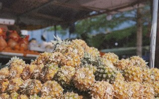 浪花的成长故事（从迷茫到坚定，从模糊到清晰）