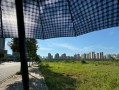 奔跑的劲儿——追逐梦想的力量