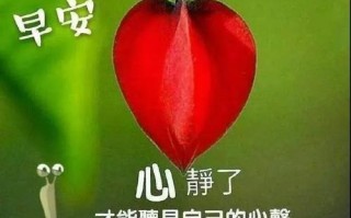 珍惜这段回忆——一位老人的故事