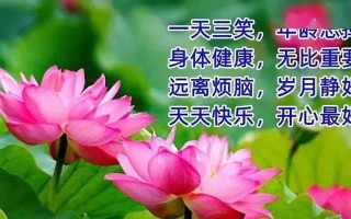 从小伙伴到终身朋友——一段不可分离的友谊之旅（从小伙伴到终身朋友——一段不可分离的友谊之旅）