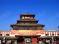 绿树成荫下的温暖（爱在心头绽放）