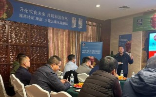 努力走向成功（一个少年的奋斗史）
